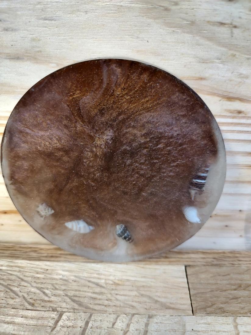 Seashell Coasters