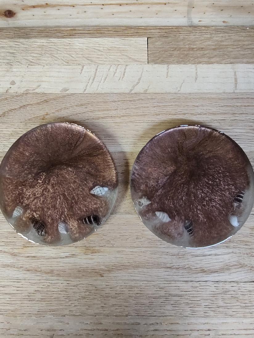 Seashell Coasters
