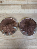 Seashell Coasters