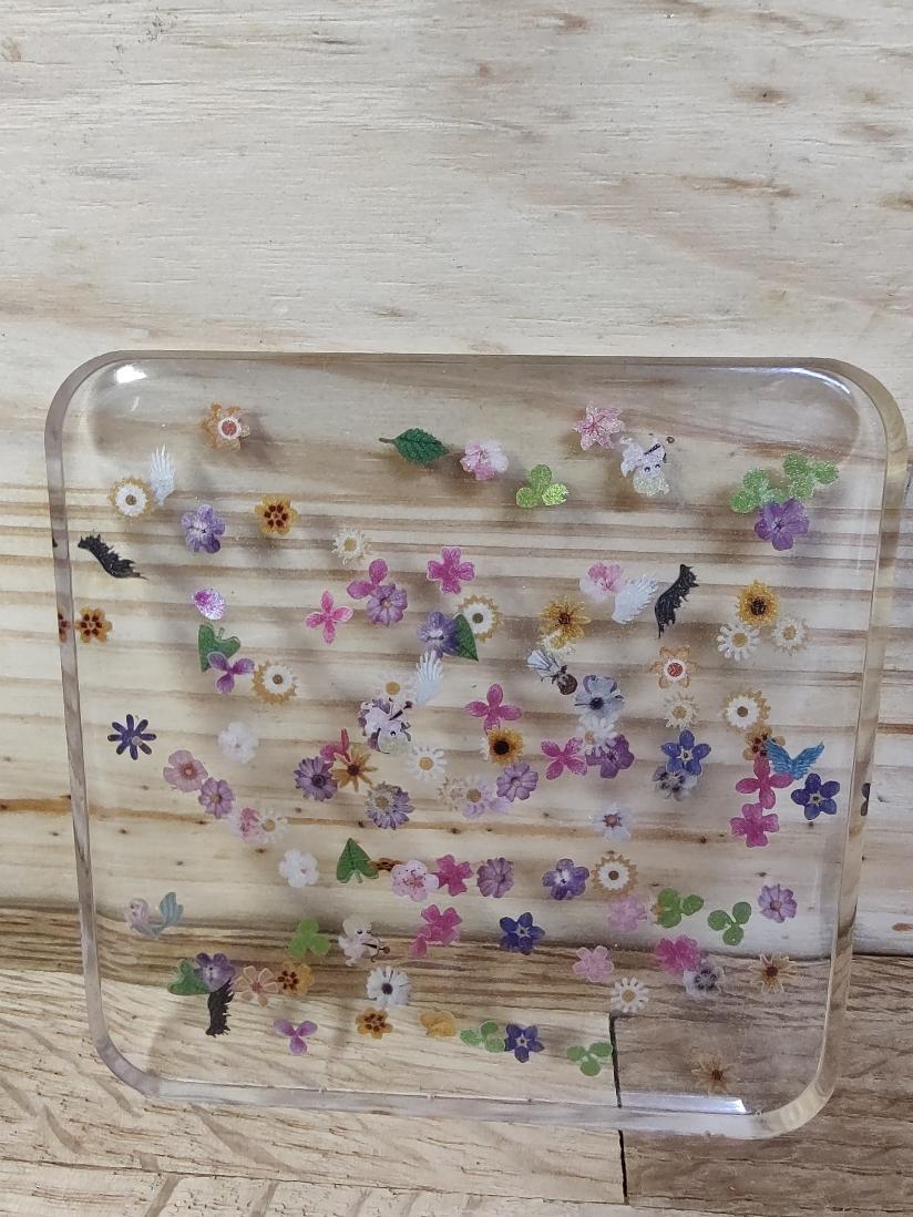 Coasters Spring Flowers